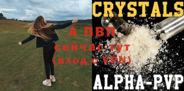 индика Карпинск